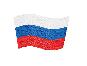 Вышивка  Флаг РФ